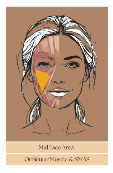 Bukan cuma tarik kulit luar! Ini alasan kenapa teknik Facelift SMAS bisa bikin wajah kencang alami tanpa efek kaku. Simak kata Dr. Heri Noviana.